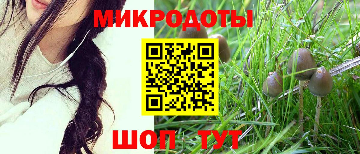Галлюциногенные грибы прущие грибы Троицк